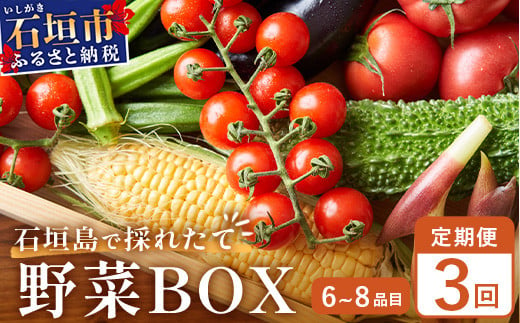 石垣島産 野菜BOX【３回定期便】（６~８種類）季節ごとに野菜パワーをあなたに！！CK-2 1511587 - 沖縄県石垣市