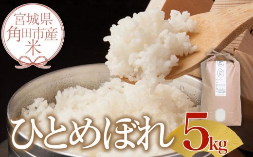 令和6年産 米 ひとめぼれ 5kg お米 白米 精米 こめ ご飯 ごはん おにぎり 国産 お取り寄せ 人気 おすすめ 食品 宮城 5キロ