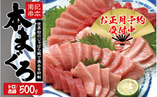 本マグロ トロ＆赤身セット 500g（養殖）【お正月予約 12月26日～30日発送】濃厚な赤身と高級部位トロの鮪好きにはたまらないセット 【串本町×北山村】 高級 クロマグロ【nks110A-sg】 1056096 - 和歌山県串本町