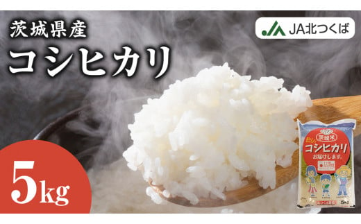 [ 12/15入金確認分まで 年内配送 ][ JA 北つくば ] 茨城県産 コシヒカリ 5kg 令和6年産 農協 米 お米 白米 コメ こしひかり 茨城県 精米 新生活 応援 [AE026ci]