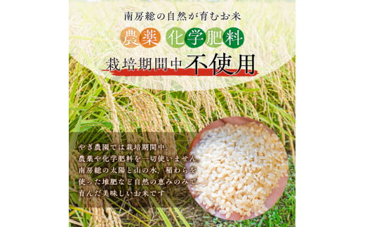 配送月が選べる】【新米】ひとめぼれ玄米10kg【2024年産】 mi0100-0004-1 - 千葉県南房総市｜ふるさとチョイス - ふるさと納税サイト