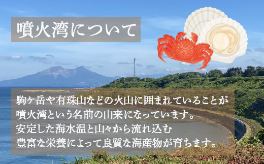 北海道豊浦町のふるさと納税 【地元現役漁師が厳選】活毛ガニ 2尾 （1尾600～700g）毛ガニ 冷蔵 【 ふるさと納税 人気 おすすめ ランキング 魚介類 カニ かに 蟹 毛がに 毛蟹 厳選 噴火湾 大容量 おいしい 美味しい 新鮮 北海道 豊浦町 送料無料 】TYUR034