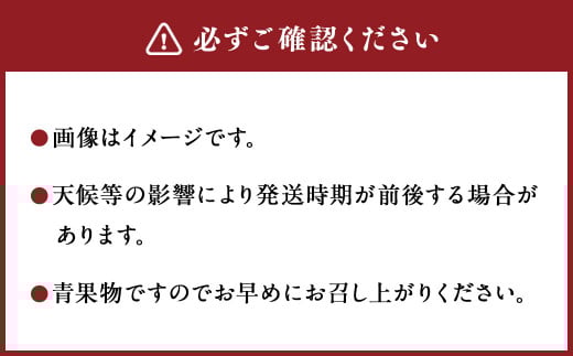 ＜宮崎県産完熟マンゴー 4L×1玉(500g以上)＞