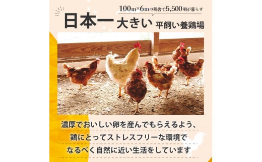 のびのび育ちの平飼い有精卵 30個 （10個入×3P） 平飼い 有精卵 たまご 卵 玉子 タマゴ 鶏卵 オムレツ 卵かけご飯 たまご焼き 国産  すき焼き 三重県 多気町 JK-03 - 三重県多気町｜ふるさとチョイス - ふるさと納税サイト