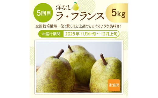 山形県東根市のふるさと納税 【2025年先行予約 6回 定期便】2025年 た～んと フルーツ コース 山形県 東根市 さくらんぼ もも シャインマスカット ラ・フランス りんご hi999-031-1