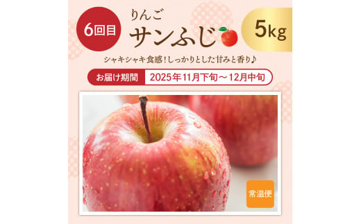 山形県東根市のふるさと納税 【2025年先行予約 6回 定期便】2025年 た～んと フルーツ コース 山形県 東根市 さくらんぼ もも シャインマスカット ラ・フランス りんご hi999-031-1