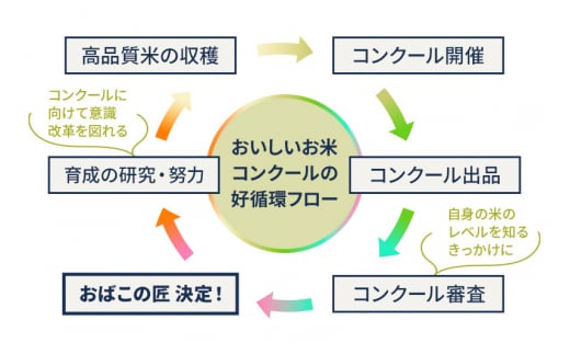 白米】《定期便12ヶ月》令和6年産 新米予約 仙北市産 おばこの匠 20kg（2kg×10袋）×12回 計240kg 12か月 12ヵ月 12カ月  12ケ月 秋田こまち お米 秋田県産あきたこまち - 秋田県仙北市｜ふるさとチョイス - ふるさと納税サイト