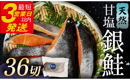 1月発送 銀鮭 3切×12パック 計36切れ 朝ごはんやお弁当に 銀鮭 36切れ 真空保存 甘塩 銀鮭 鮭 しゃけ サケ さけ ご飯のお供 朝食 真空 朝食 お弁当 おかず 小分け 大容量  F4F-2844