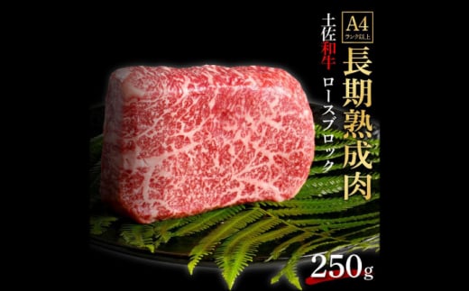 エイジング工法 熟成肉 土佐和牛 特選ロース ブロック 約250g (冷凍) 【株式会社LATERAL】 [ATAY058] 1093356 - 高知県高知市