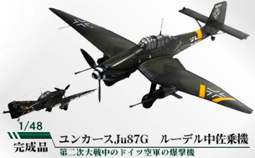 ユンカースJu87G ルーデル中佐乗機 1/48 / 模型 完成品 柏木崇男 茨城県