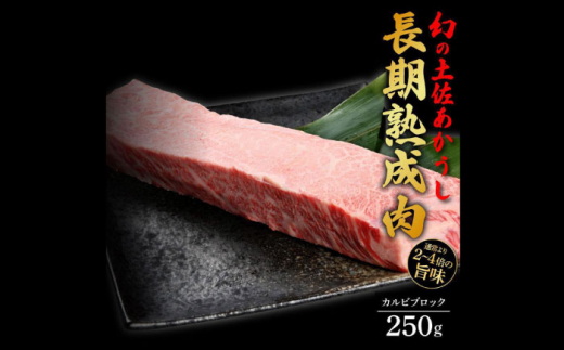 エイジング工法 熟成肉 土佐あかうし 特選カルビ ブロック 約250g (冷凍) 【株式会社LATERAL】 [ATAY049] 1093347 - 高知県高知市