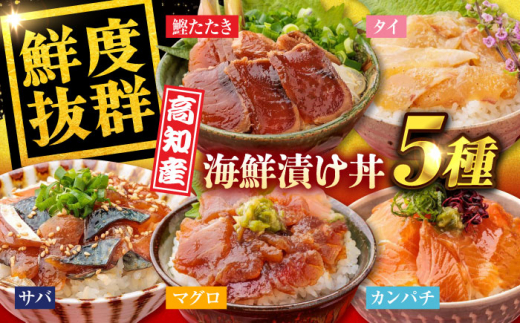 高知の魚5種類が味わえる海鮮漬け丼セット タイ マグロ カンパチ 鰹たたき サバ 【株式会社 七和】 [ATAX007] 833263 - 高知県高知市