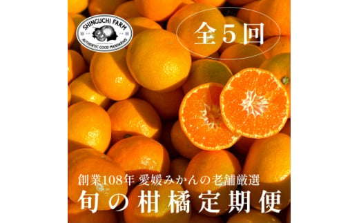 ＜発送月固定定期便＞旬の厳選柑橘をお届け。柑橘定期便＜新口農園厳選＞＜H70-43＞全5回【4055162】 1448195 - 愛媛県八幡浜市