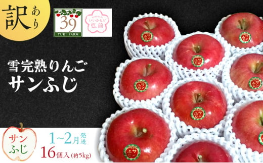 りんご 【 数量限定 】1～2月発送 訳あり 雪完熟 家庭用 糖度13度以上 サンふじ 約 5kg 16個入り【 弘前市産 青森りんご 】 684418 - 青森県弘前市