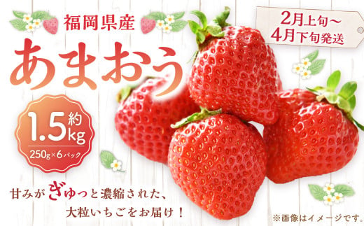 福岡県産 あまおう 1500g （250g×6パック） 苺 イチゴ いちご 大粒 果物 フルーツ 福岡 福岡県【2025年2月上旬～4月下旬発送予定】 1441011 - 福岡県遠賀町