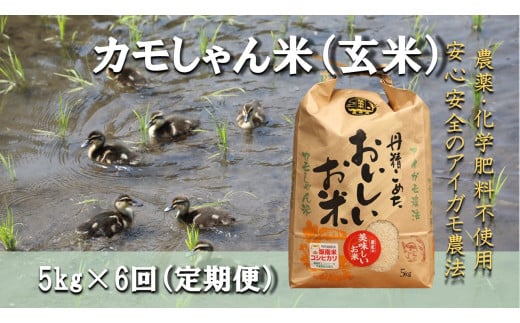 【令和6年度産】コシヒカリ（玄米）カモしゃん米 5kg 【 定期便 6回 アイガモ あいがも 合鴨 かも カモ コシヒカリ お米 農家直送 無農薬 化学肥料不使用 玄米 精米 選択可能 安心 安全 新米 令和6年度産 島根県飯南町 D-155】 1511545 - 島根県飯南町