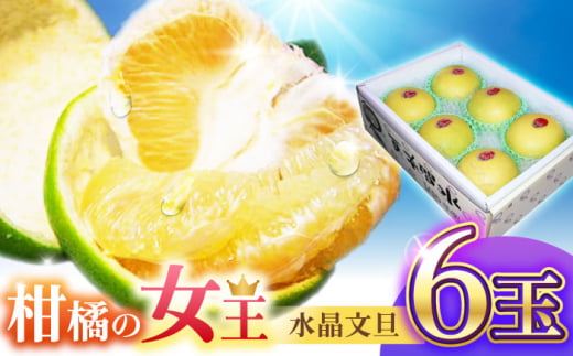 [先行予約]南国土佐の女王柑橘 水晶文旦 約3kg 6玉入り[2025年9月中旬〜2025年12月下旬頃発送]/ ぶんたん 文旦 フルーツ 高知名物 果物[2024年9月〜発送] [フルーツショップオザキ] [ATAH007]