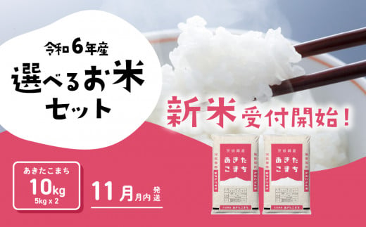 あきたこまち10kg 5kgx2袋 令和6年産 新米 11月発送 先行予約 こしひかり あきたこまち 食べ比べ 白米 精米 茨城県 八千代町 [SF021ya]