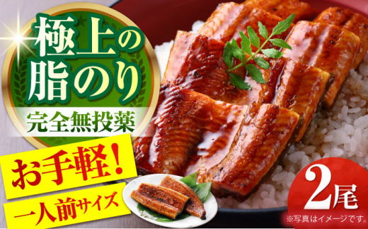 高知県産 うなぎ蒲焼き 約90g×2尾 タレ付き 【株式会社 四国健商】 [ATAF064] 438513 - 高知県高知市