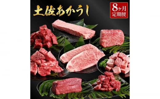 【8回定期便】熟成肉 土佐あかうし詰め合わせ8種 8カ月 【株式会社LATERAL】 [ATAY102] 1360164 - 高知県高知市