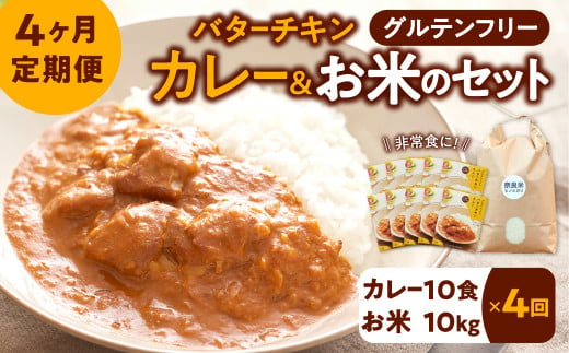 新米 令和6年産 定期  お米ヒノヒカリ10kg＋カレー10袋 ×4回コース 210-004