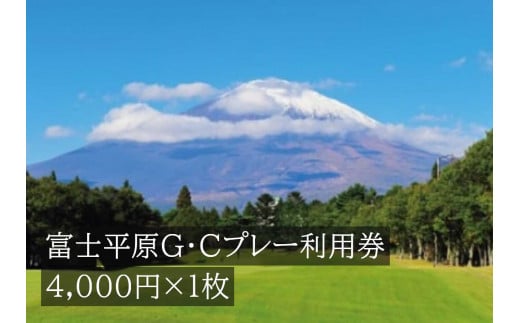 C26富士平原Ｇ・Ｃプレー利用券　１枚 733902 - 静岡県小山町