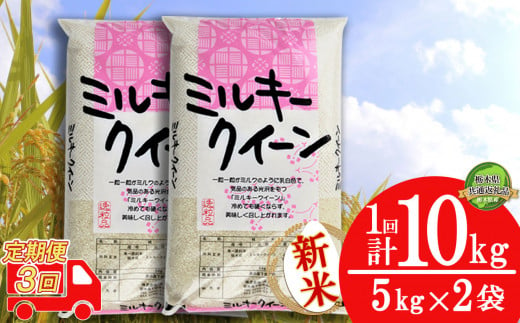 【定期便3回】令和6年度 新米 ミルキークイーン10kg（5kg×2袋） | 白米 精米 お米 ブランド米 栃木県 栃木県共通返礼品 栃木県産 特産品 下野市 送料無料 1512433 - 栃木県下野市