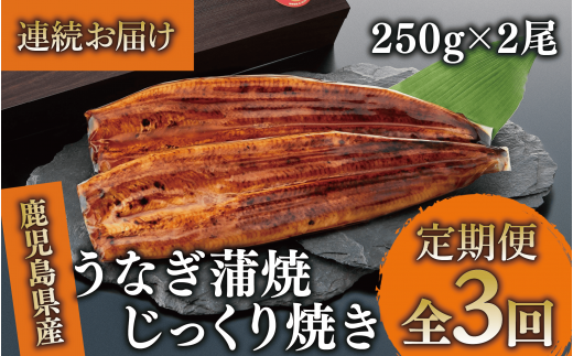 【全３回定期便・連続お届け】鹿児島県産 うなぎ 蒲焼 じっくり焼き約250g×2尾(大新/Z060-1696) 鰻 蒲焼 国産 丑の日 うな重 無頭 ギフト ふっくら 小分け レンジ 簡単 頒布会 小分け うな丼 ウナギ 冷凍 1520016 - 鹿児島県指宿市