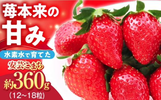 【12月20日～3月20日順次発送】水素水で育ったいちご「安芸こまち」小粒セット（約340g）（15粒～18粒入） 低農薬 苺 イチゴ 高級 フルーツ 果物 ベリー ギフト 贈答 三次市/田中電機工業[APBI001]