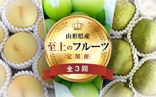 《2025年先行予約》 山形県 至高のフルーツ！ 山形県至上のフルーツ定期便 全3回 FSY-2014 1550221 - 山形県山形県庁