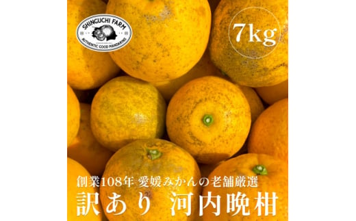 創業百八年 愛媛みかんの老舗＜河内晩柑 訳あり 7kg＞新口農園＜C70-45＞【1537315】 1449998 - 愛媛県八幡浜市