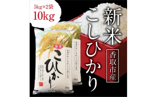 令和6年産　千葉県産コシヒカリ　精米　10kg(5kg×2袋)【1552839】