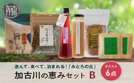 遊んで、食べて、泊まれる！「みとろの丘」加古川の恵みセットB《 いちごシロップ 玄米グラノーラ ふりかけ オニオンドレッシング のり ドリップコーヒー セット 》【2402I14806】