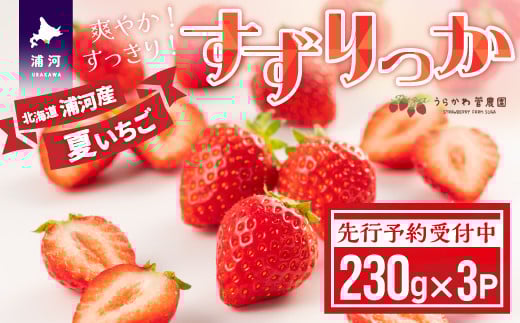 【先行予約受付中】北海道浦河産 夏いちご 「すずりっか」230g×3P[13-1334]