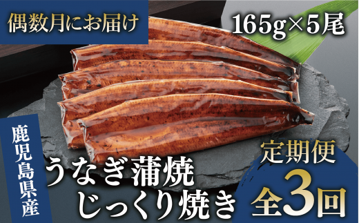 【全３回定期便・偶数月お届け】鹿児島県産うなぎ蒲焼じっくり焼き約165g×5尾(大新/Z100-1698) 鰻 蒲焼 国産 丑の日 うな重 無頭 ギフト ふっくら 小分け レンジ 簡単 頒布会 小分け うな丼 ウナギ 冷凍