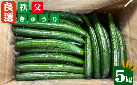 No.503 秩父きゅうり良選5kg ／ ちちぶ丸山農園 キュウリ 胡瓜 ブランド野菜 埼玉県