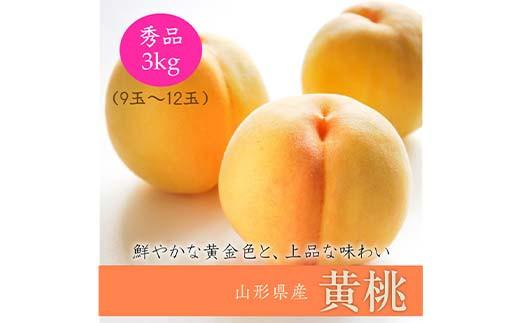 《2025年産先行受付》山形県産 黄桃 3kg ※品種玉数おまかせ  もも モモ 桃 デザート フルーツ 果物 くだもの 果実 食品 山形県 FSY-0018 290502 - 山形県山形県庁