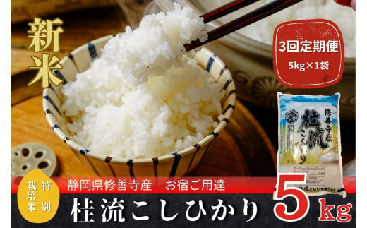 【定期便】全３回　修善寺桂流こしひかり５kg【 コシヒカリ 白米 お米 精米 国産 米 ごはん 特別栽培米 お取り寄せ 静岡県 伊豆市】030-007