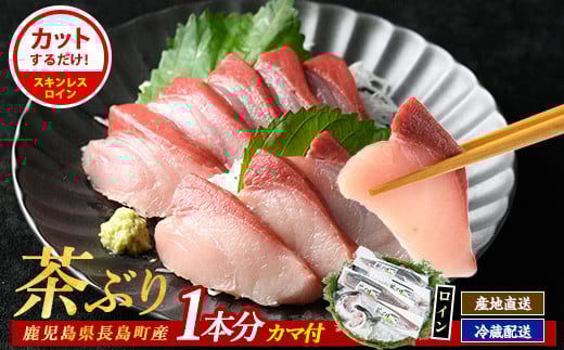 ブリカマ付！茶ぶり スキンレスロイン(1尾分・4分の1カット済)【ウスイ】usui-6121