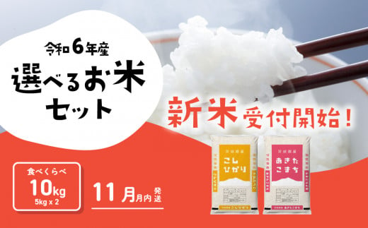 お米 食べ比べセット10kg 5kgx2袋 令和6年産 新米 11月発送 先行予約 こしひかり あきたこまち 食べ比べ 白米 精米 茨城県 八千代町 [SF019ya]