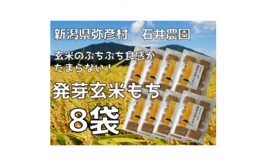 ぷちぷち食感がたまらない「発芽玄米餅」　8袋　新潟県弥彦村産「こがねもち」100%使用【1554476】 1512048 - 新潟県弥彦村