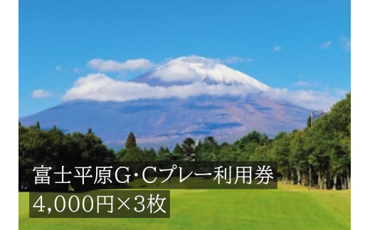 I16富士平原Ｇ・Ｃプレー利用券　３枚 734058 - 静岡県小山町