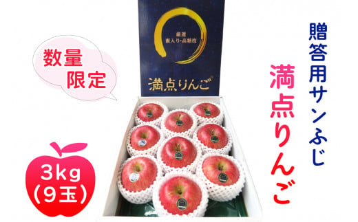 [贈答用] サンふじ「満点りんご」3kg (9玉)【数量限定】｜青森産 つがる 津軽 リンゴ 林檎 果物 フルーツ サンフジ 厳選りんご 2024年 令和6年 [0725]