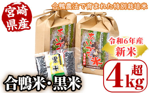 ＜数量限定＞令和6年産アイガモ米(2kg×2袋)と黒米(42g)米 白米 精米 国産 ご飯【MU015】【日之影町村おこし総合産業(株)】 826202 - 宮崎県日之影町