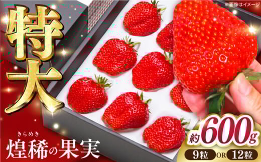 煌稀の果実  特大 苺 (約600g 9または12粒)  高知市春野町産 /  いちご イチゴ 果物 フルーツ 【森強のいちご農園】[ATAS002] 452082 - 高知県高知市