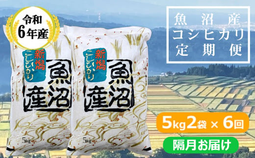 KY173P412 【共栄農工社】 令和6年産 魚沼産コシヒカリ定期便 5kg2袋×6回／隔月お届け 白米 魚沼 米 定期便 772555 - 新潟県小千谷市