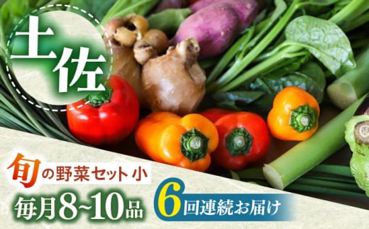 【6回定期便】 土佐の太陽をいっぱいに浴びた旬の野菜セット小 【土佐野菜】 [ATBA006] 454240 - 高知県高知市