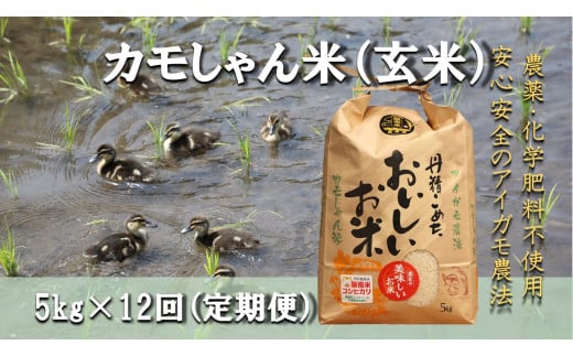 【令和6年度産】コシヒカリ（玄米）カモしゃん米 5kg 【 定期便 12回 アイガモ あいがも 合鴨 かも カモ コシヒカリ お米 農家直送 無農薬 化学肥料不使用 玄米 精米 選択可能 安心 安全 新米 令和6年度産 島根県飯南町 D-156 】 1511544 - 島根県飯南町