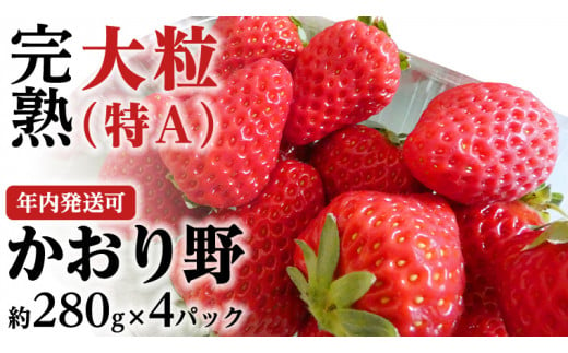 【12/15までの申込で年内にお届け！】 完熟 かおり野 約280g×4P 年内お届け 国産 いちご イチゴ 苺 [BC082sa]