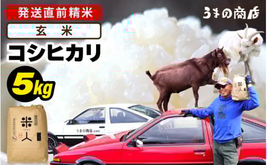 [先行予約][令和7年産・新米] コシヒカリ 5kg[玄米][2025年9月中旬以降順次発送予定] [m25-a005_03]
